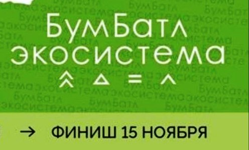 Всероссийская акция «БумБатл» - 2024 Всероссийская акция «БумБатл» - 2024.